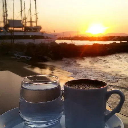 Sare Güzelçamlı
