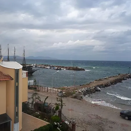 Sare Güzelçamlı