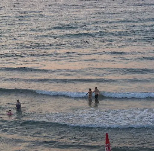 Coezel Sare 호텔 3*