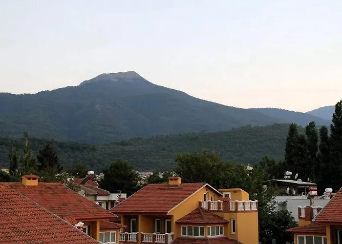 Отель Coezel Sare 3*